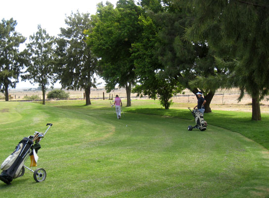 Several golfcourses in and around Darling
